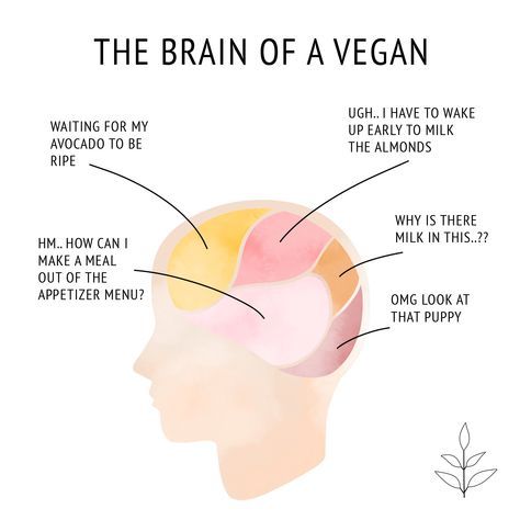 Wie wirkt sich Veganismus auf das Gehirn aus?